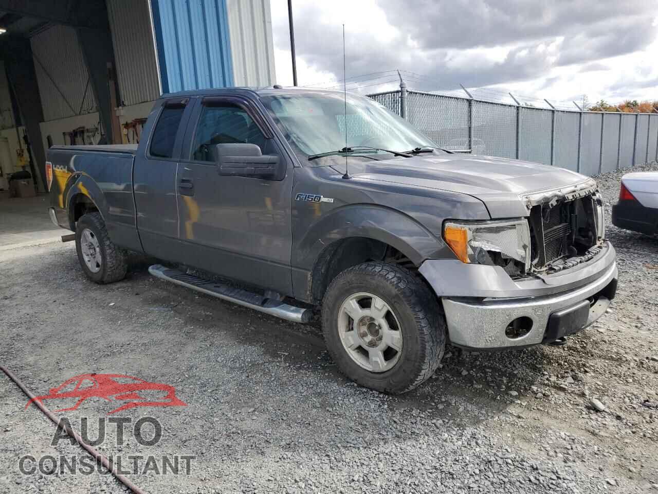 FORD F-150 2011 - 1FTFX1EF8BFB73810