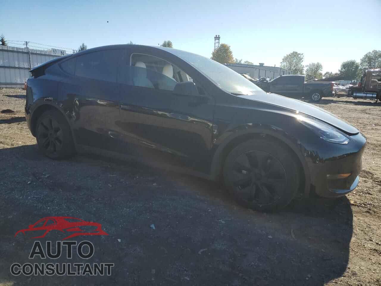 TESLA MODEL Y 2024 - 7SAYGDEE6RF149735