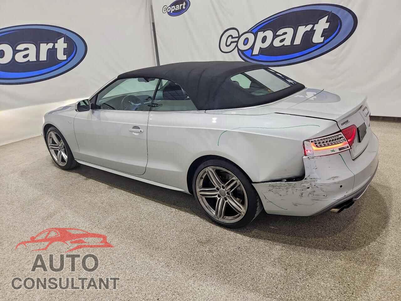 AUDI S5/RS5 2013 - WAUCGAFH0DN013915