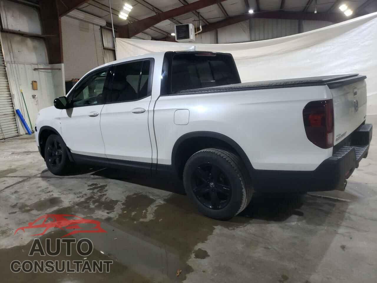 HONDA RIDGELINE 2022 - 5FPYK3F83NB038446