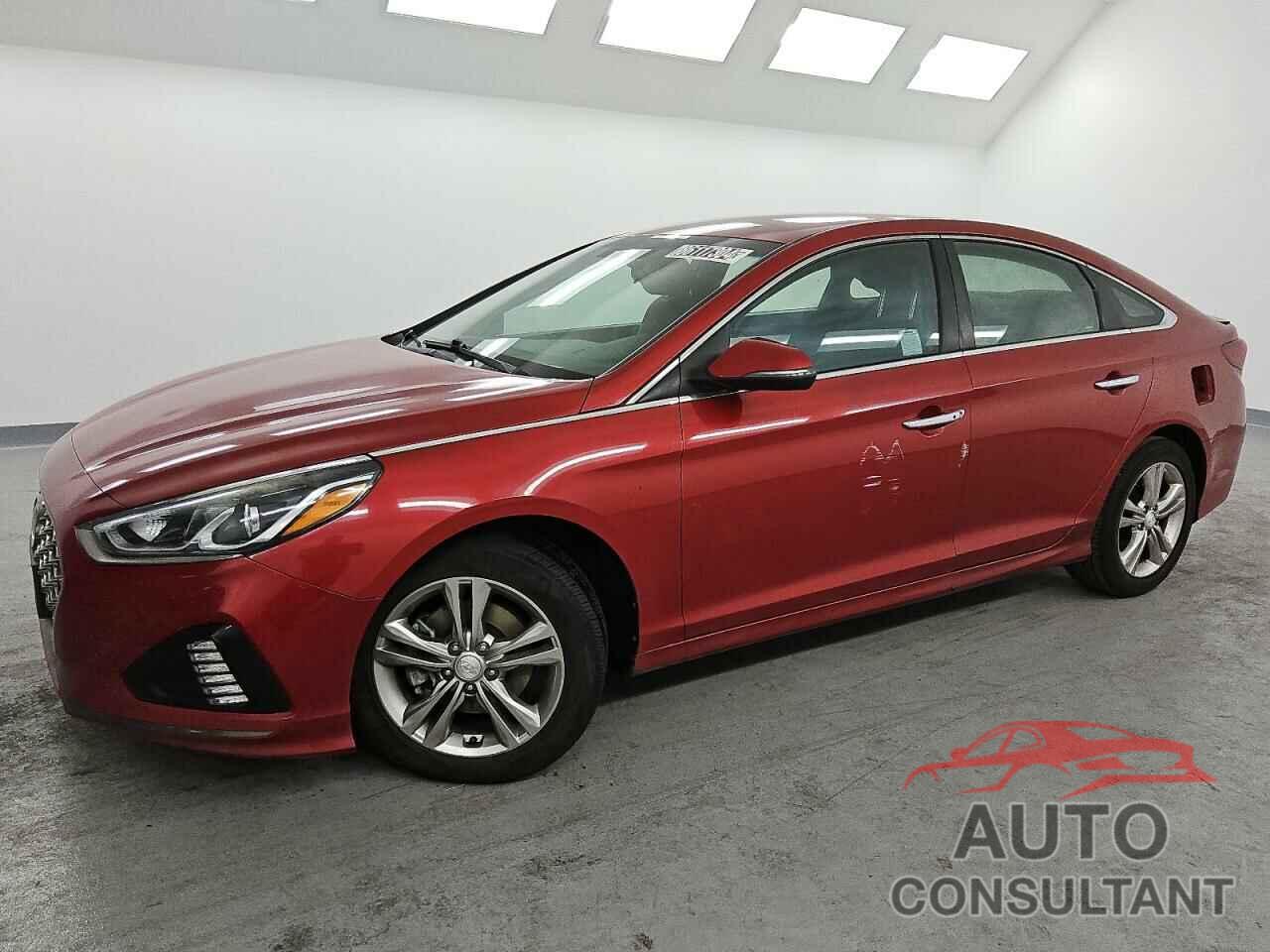 HYUNDAI SONATA 2019 - 5NPE34AF9KH783753