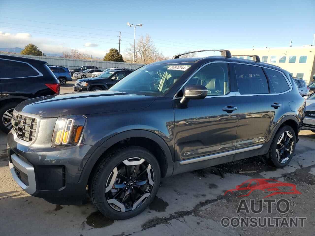 KIA TELLURIDE 2024 - 5XYP6DGC9RG513582