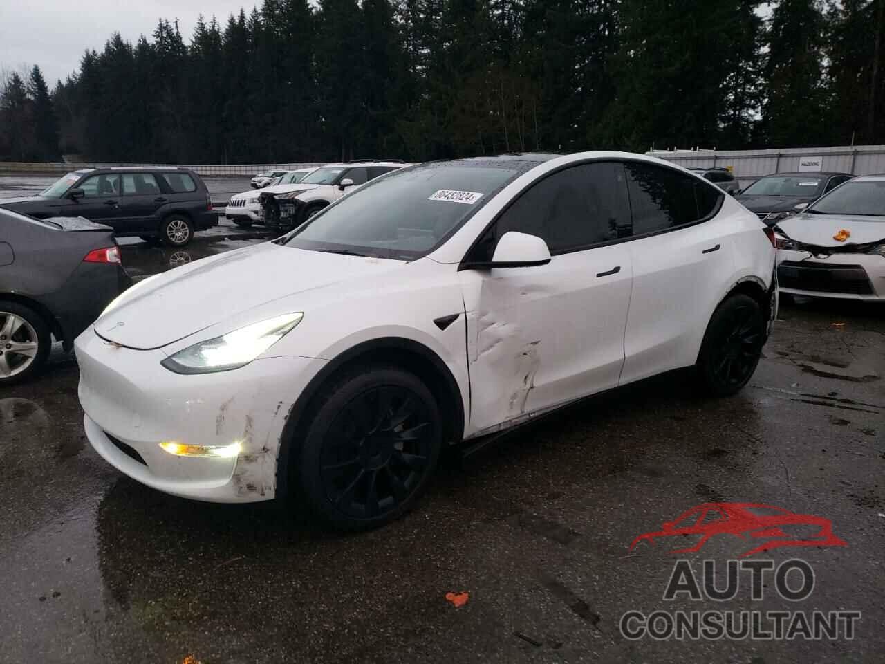 TESLA MODEL Y 2023 - 7SAYGAEE4PF599993