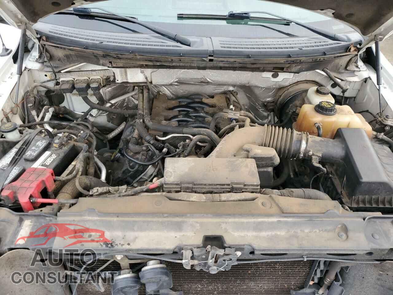 FORD ALL OTHER 2011 - 1FTFW1CF8BKD04893