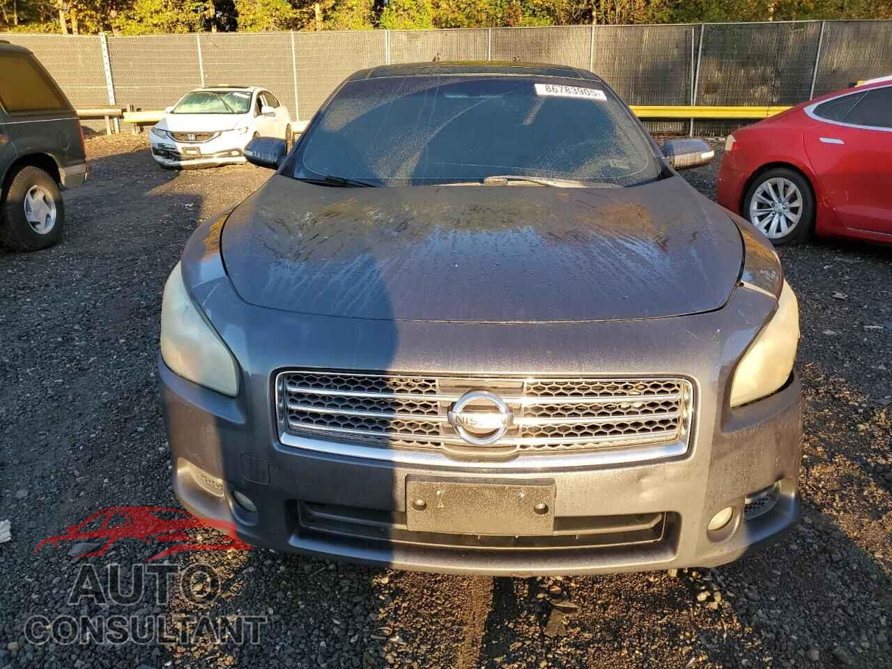 NISSAN MAXIMA 2011 - 1N4AA5AP7BC843405