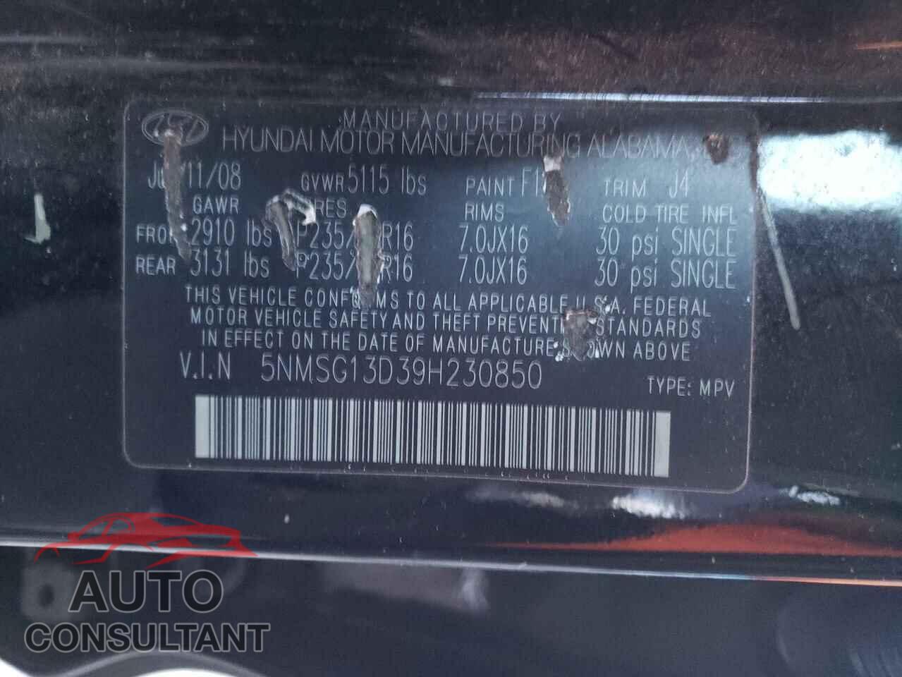 HYUNDAI SANTA FE 2009 - 5NMSG13D39H230850