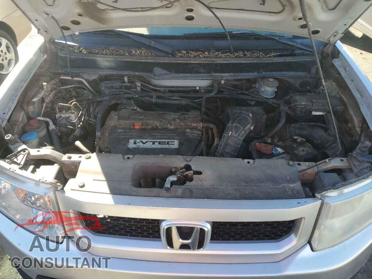 HONDA ELEMENT 2011 - 5J6YH2H73BL000238