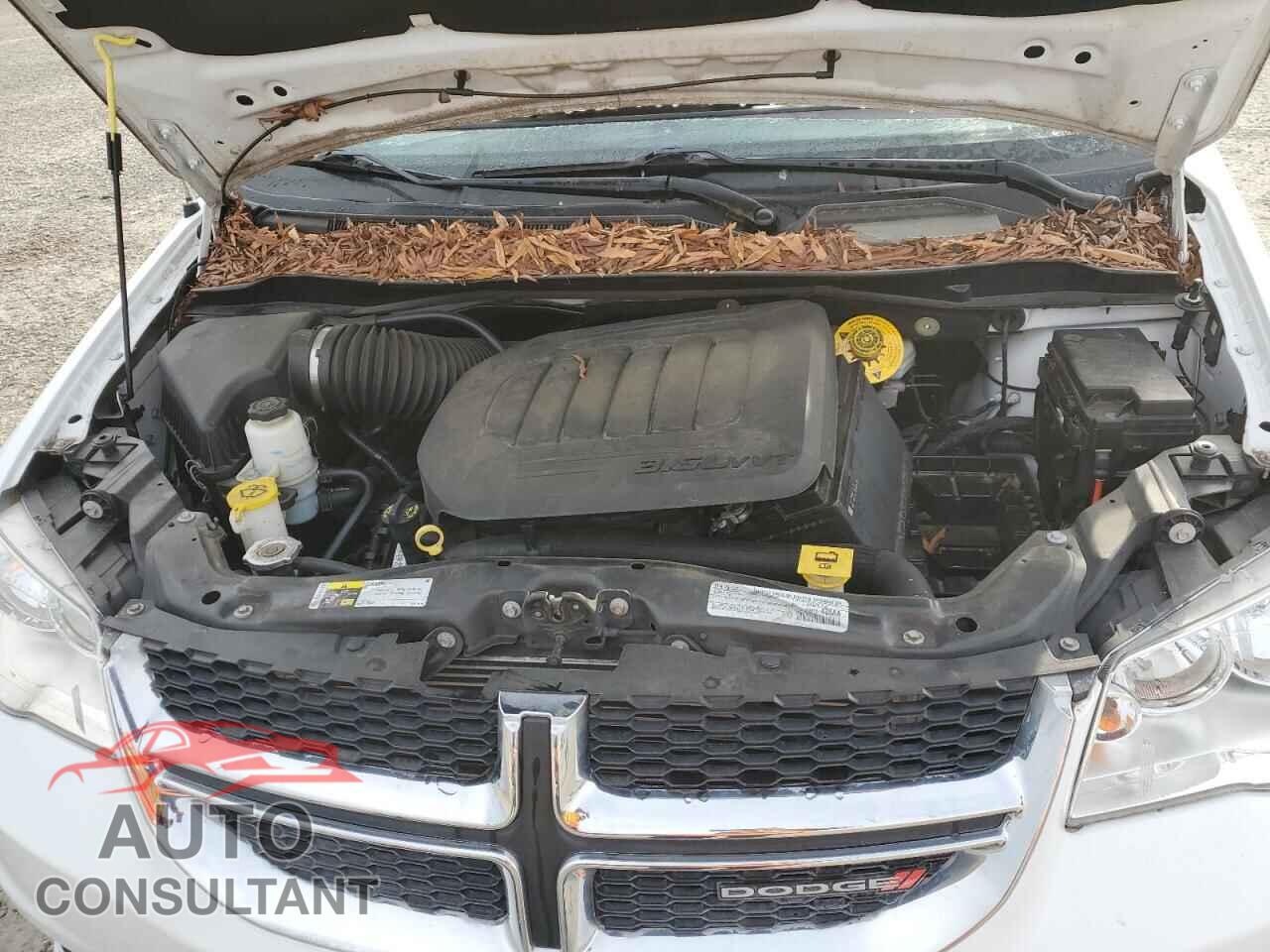 DODGE CARAVAN 2019 - 2C4RDGCG4KR758915