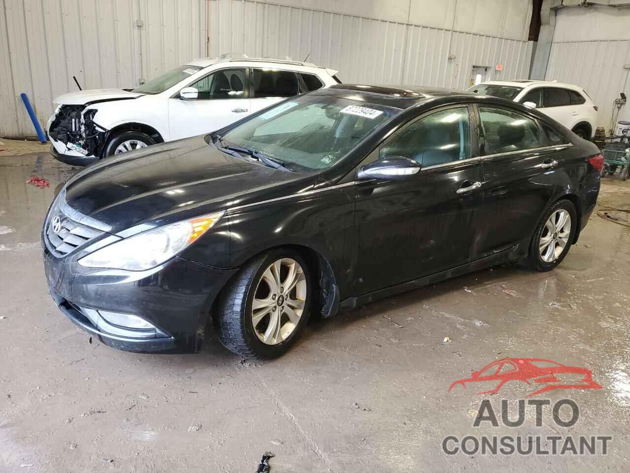 HYUNDAI SONATA 2011 - 5NPEC4ACXBH171051