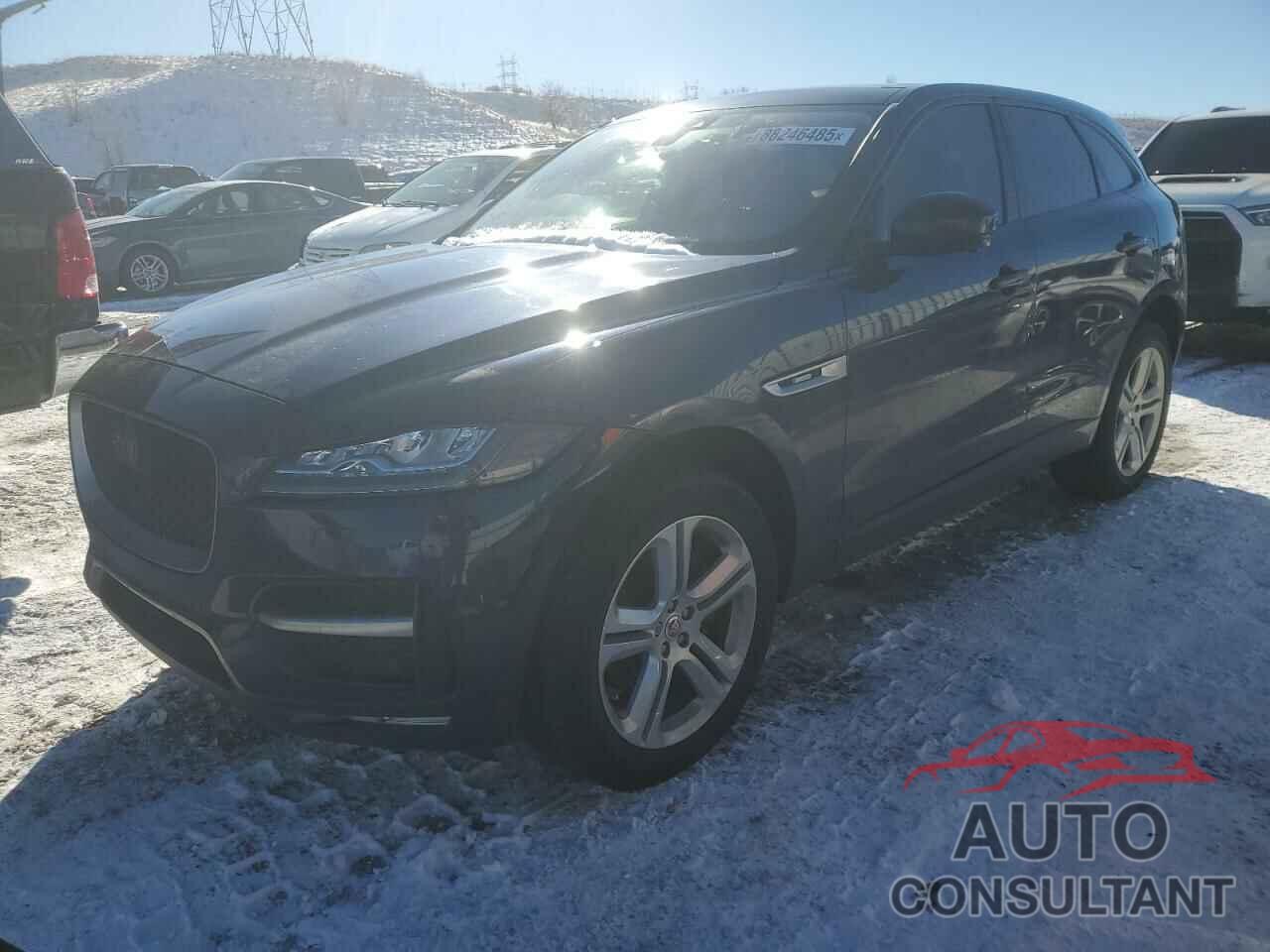 JAGUAR F-PACE 2017 - SADCL2BV5HA490745