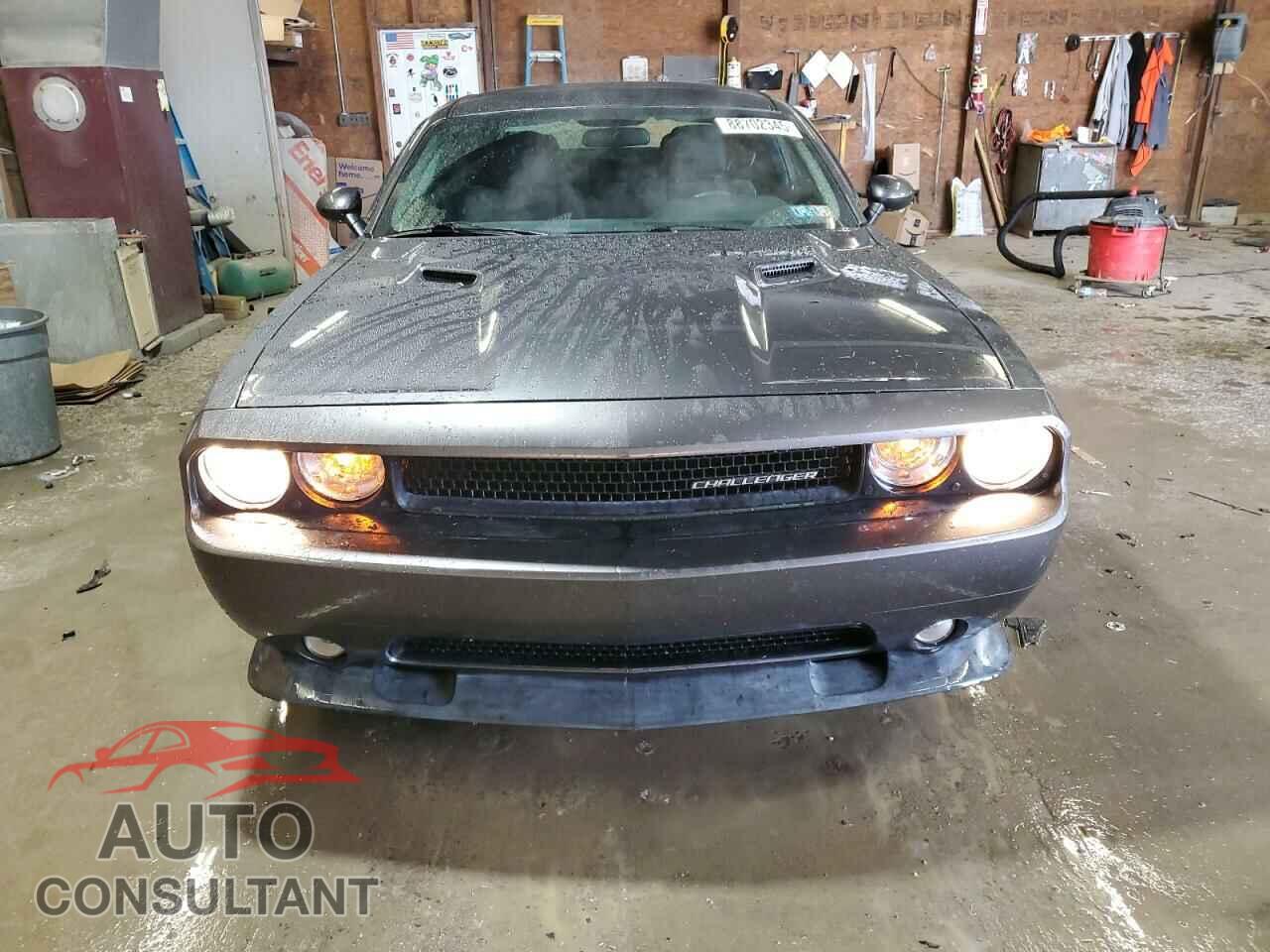 DODGE CHALLENGER 2013 - 2C3CDYAGXDH645742