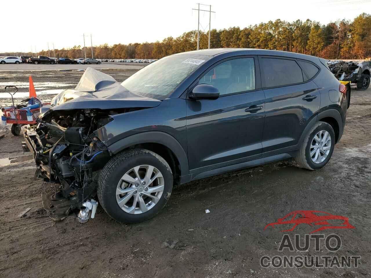 HYUNDAI TUCSON 2019 - KM8J2CA46KU064018