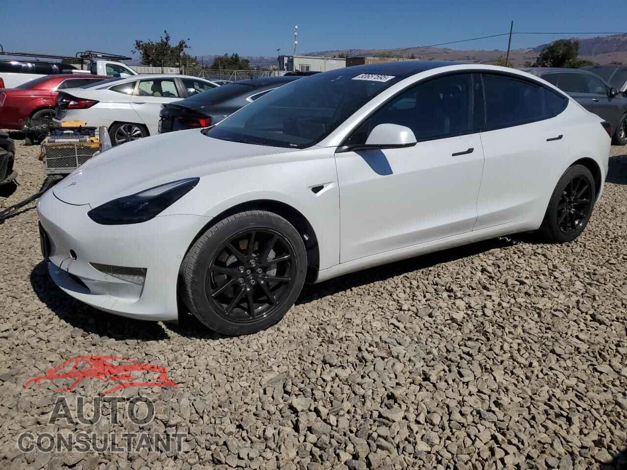 TESLA MODEL 3 2022 - 5YJ3E1EB2NF206900