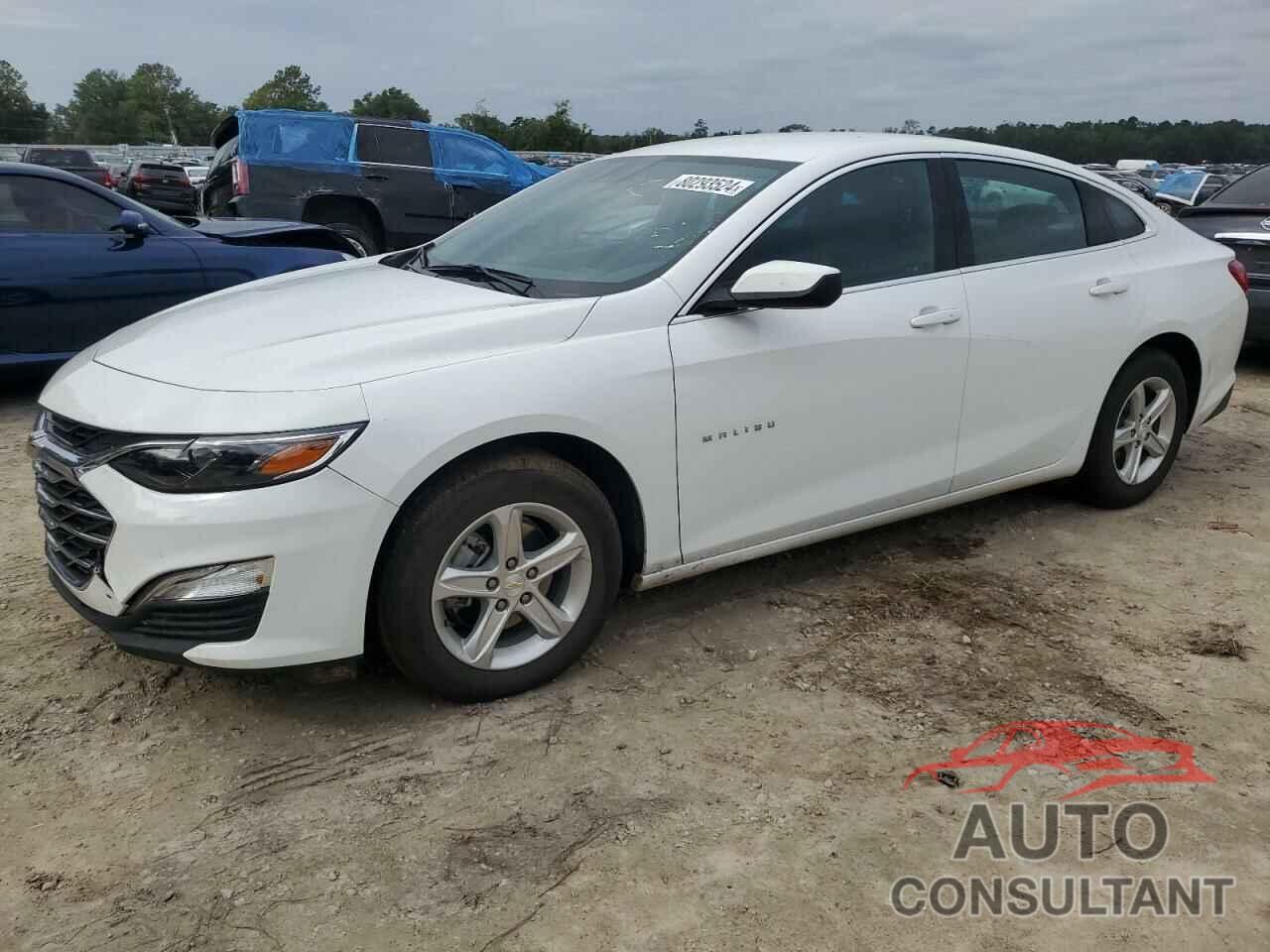 CHEVROLET MALIBU 2024 - 1G1ZC5ST9RF149352