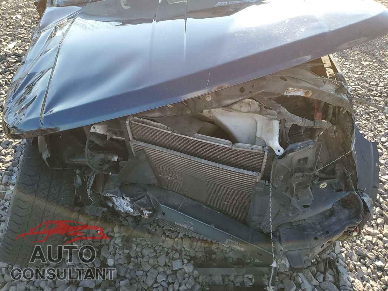 DODGE NITRO 2011 - 1D4PU7GX9BW516200