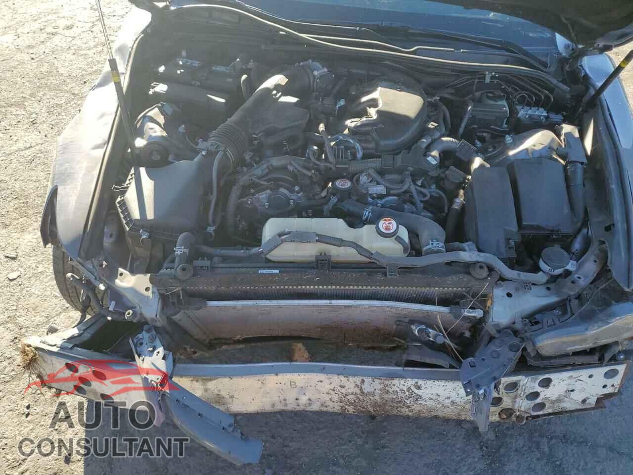 LEXUS IS 2019 - JTHC81D24K5035331