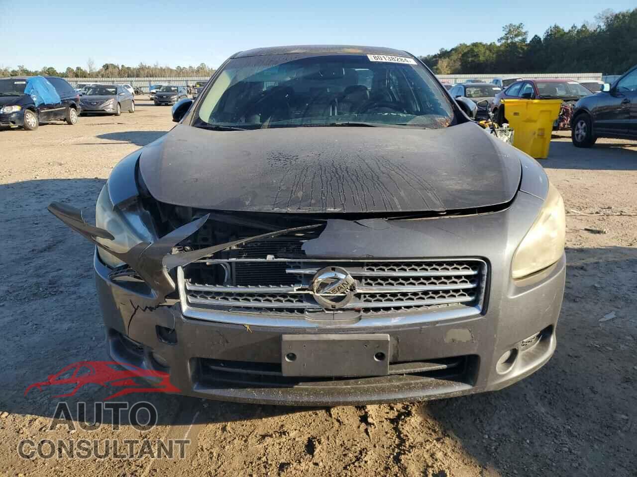 NISSAN MAXIMA 2011 - 1N4AA5AP0BC842337