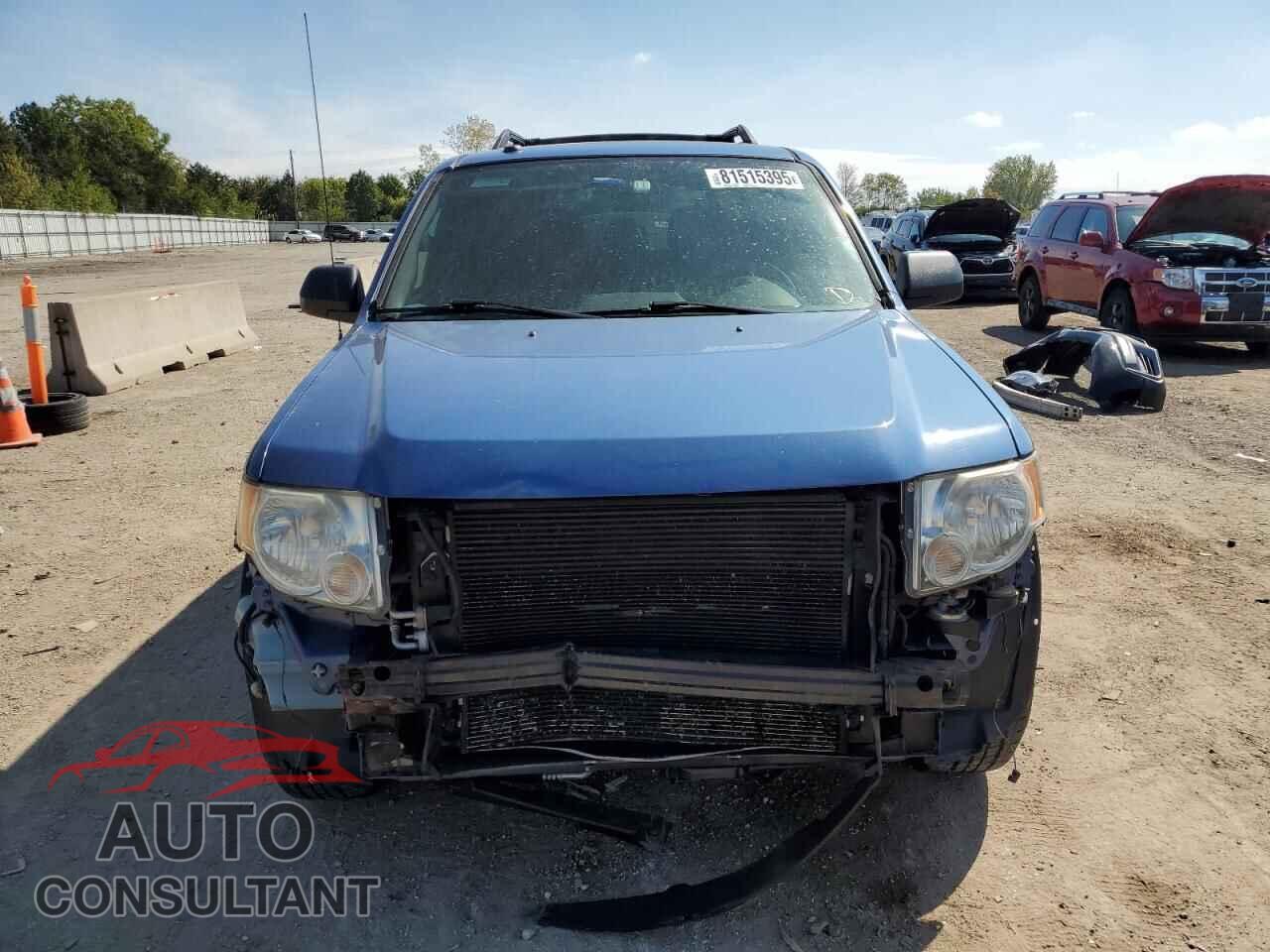 FORD ESCAPE 2010 - 1FMCU0DG2AKB31439