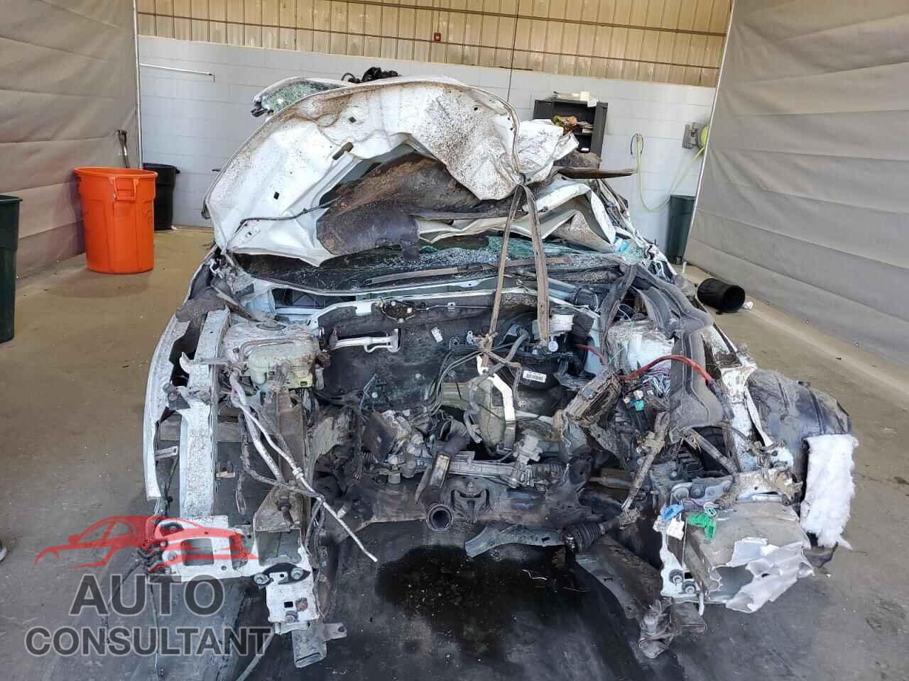 HONDA CIVIC 2019 - 2HGFC2F85KH542608