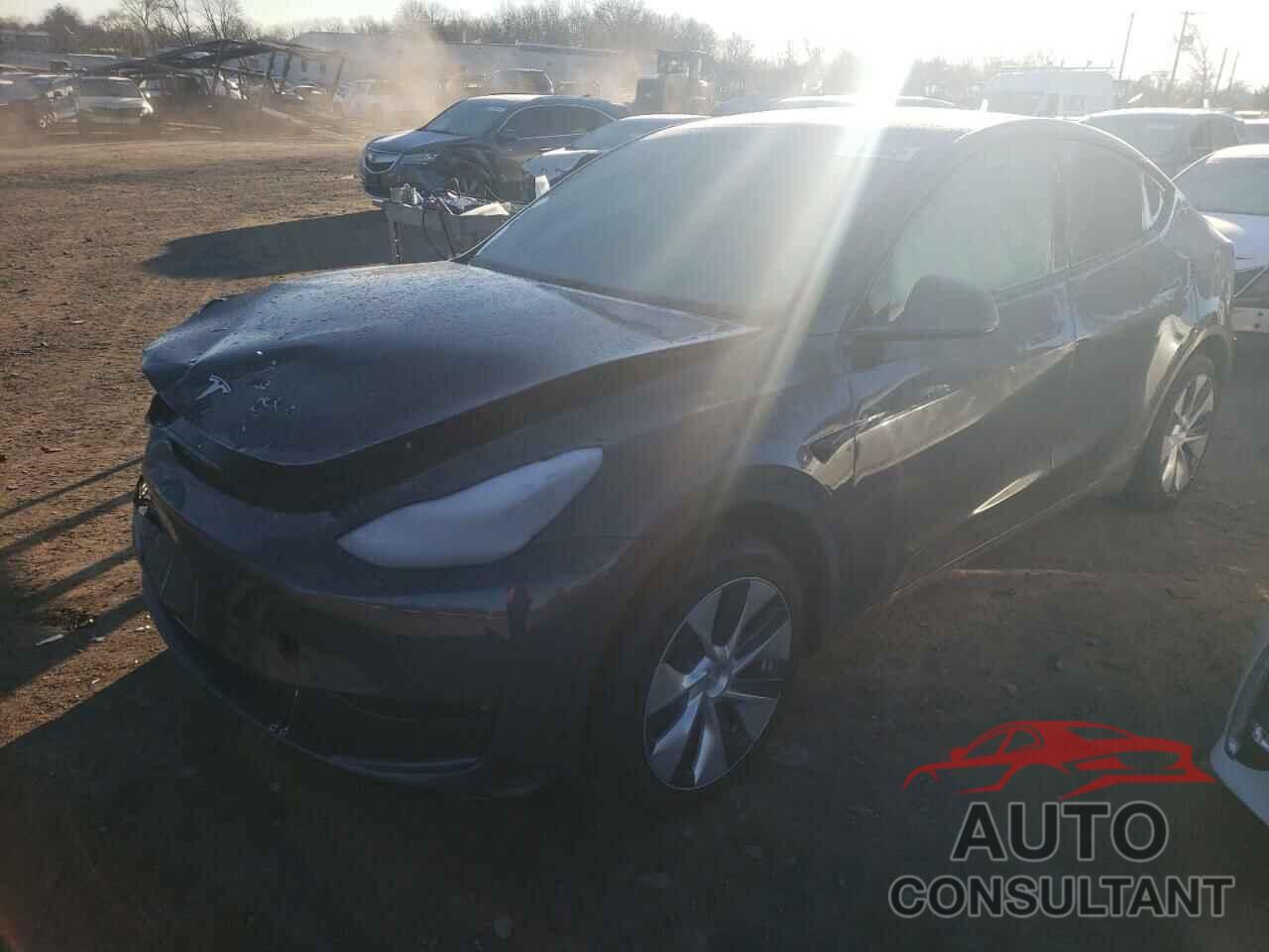 TESLA MODEL Y 2022 - 7SAYGDEE7NA017896