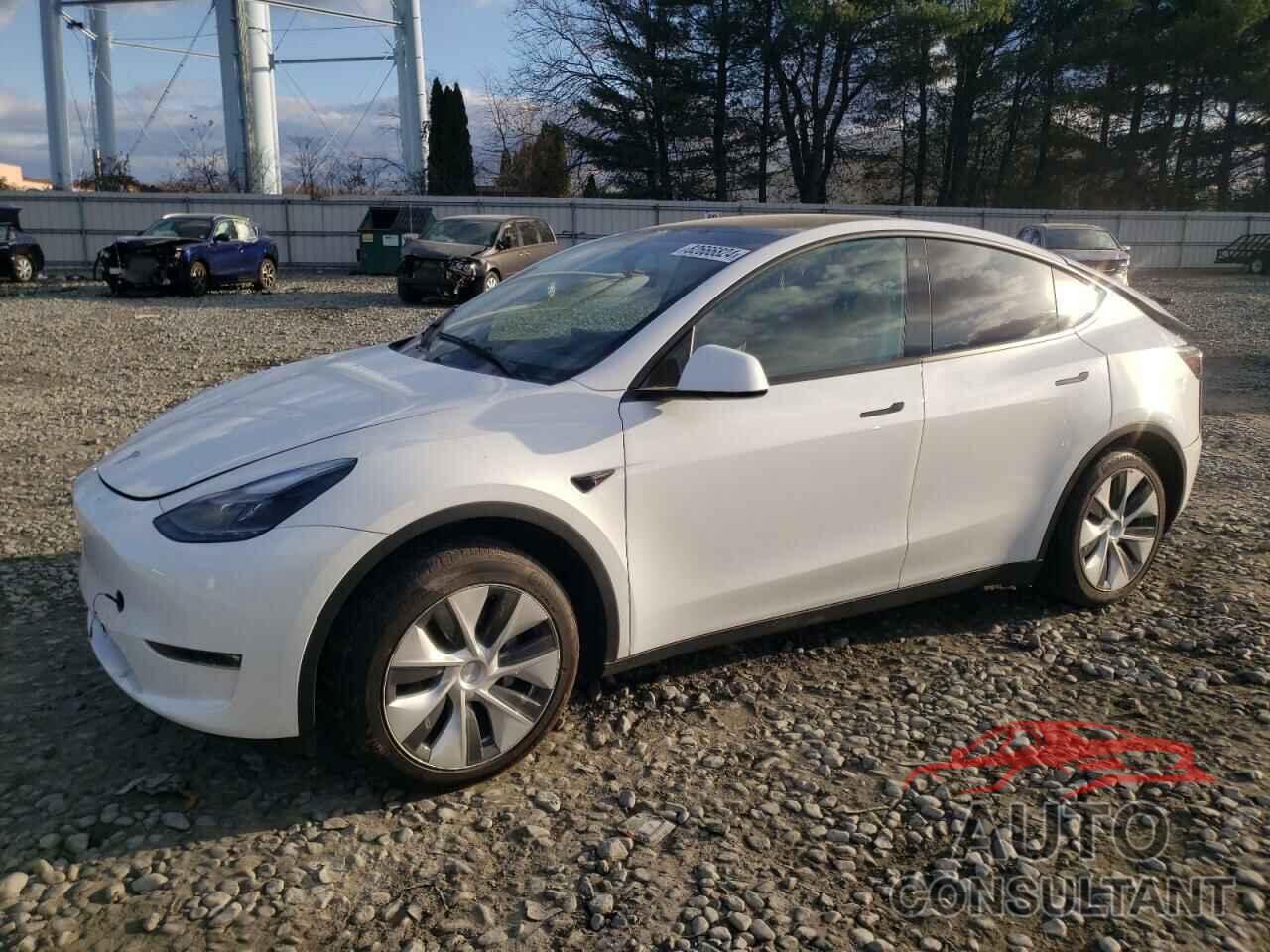 TESLA MODEL Y 2023 - 7SAYGAEE7PF749059