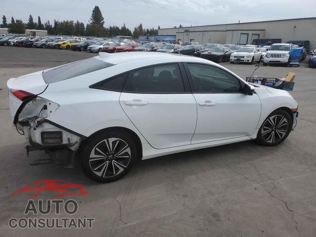 HONDA CIVIC 2017 - 2HGFC1F36HH655717