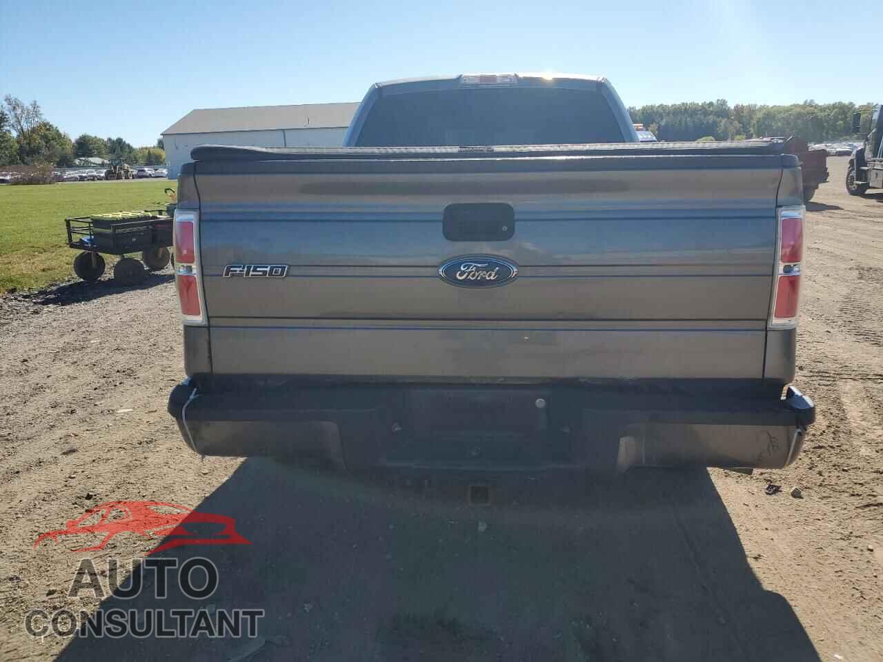 FORD F-150 2010 - 1FTEX1CW3AFC95830