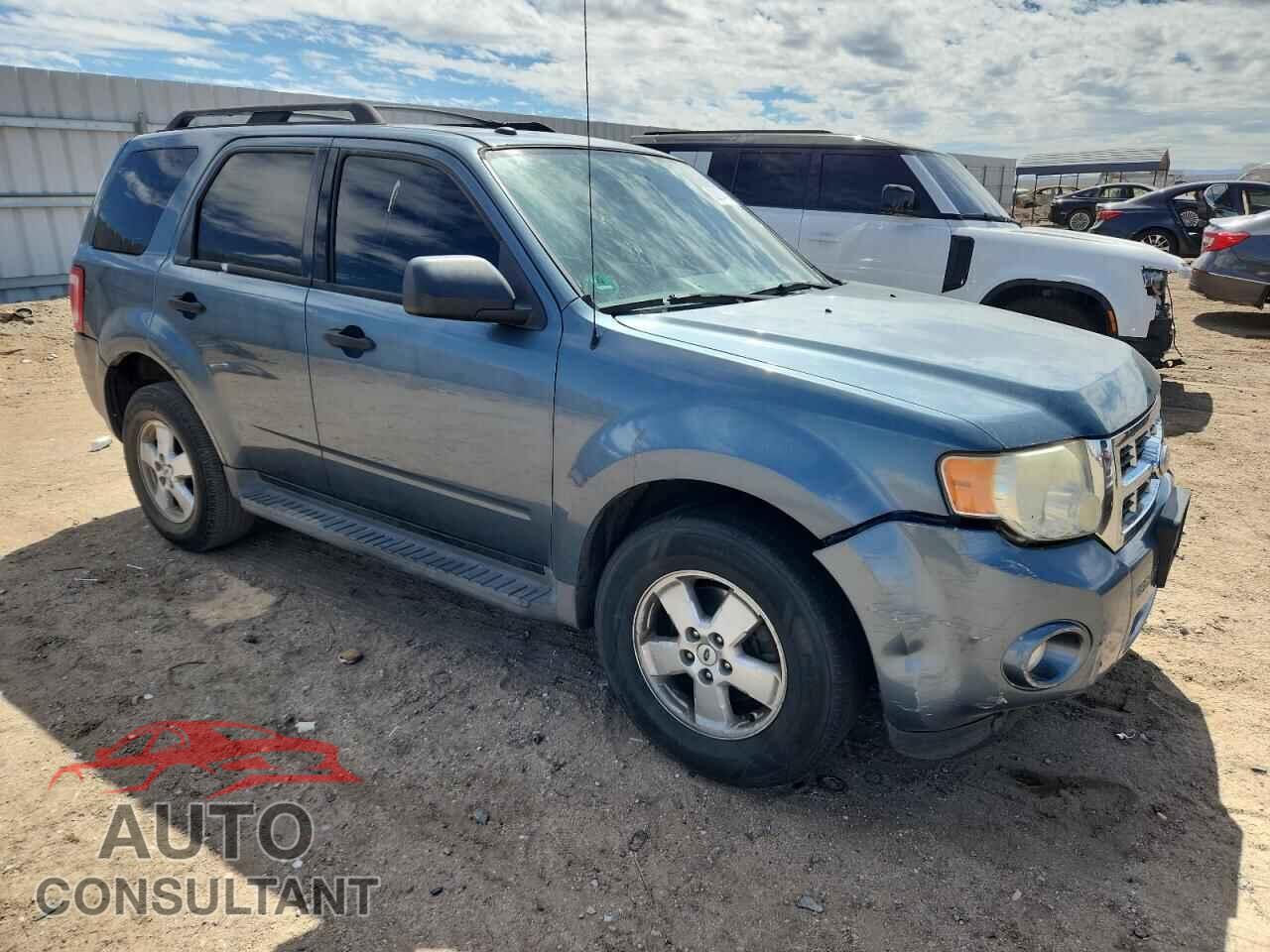 FORD ESCAPE 2010 - 1FMCU0D71AKB27608