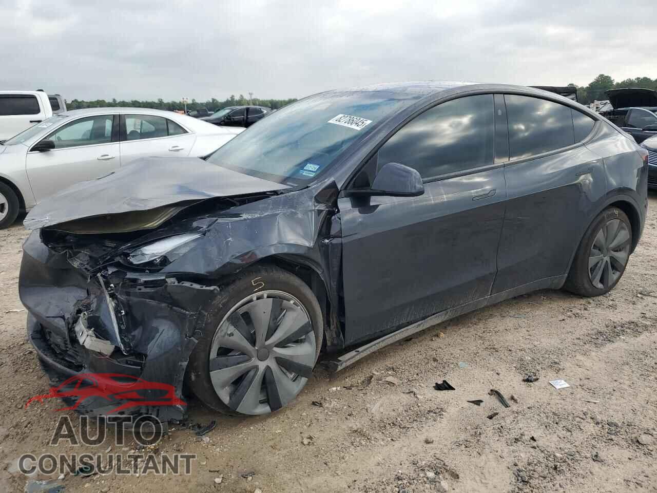 TESLA MODEL Y 2024 - 7SAYGAEE3RF024710
