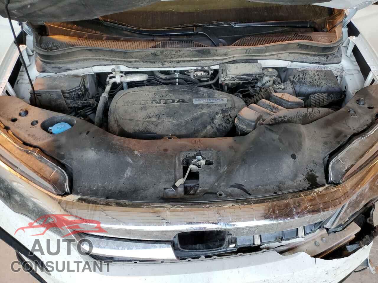 HONDA PILOT 2019 - 5FNYF5H50KB036595