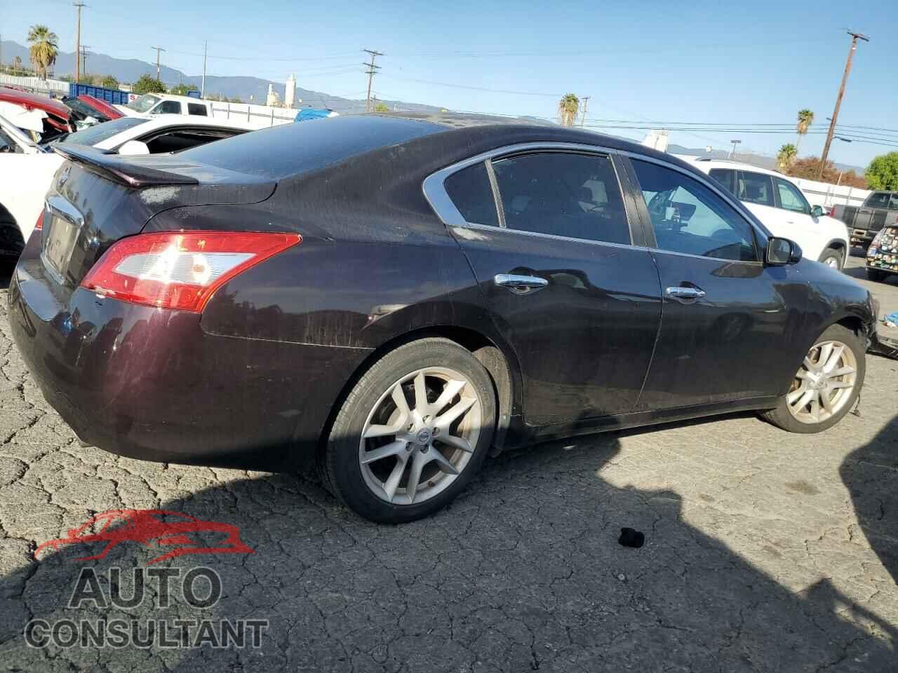 NISSAN MAXIMA 2011 - 1N4AA5AP8BC853988