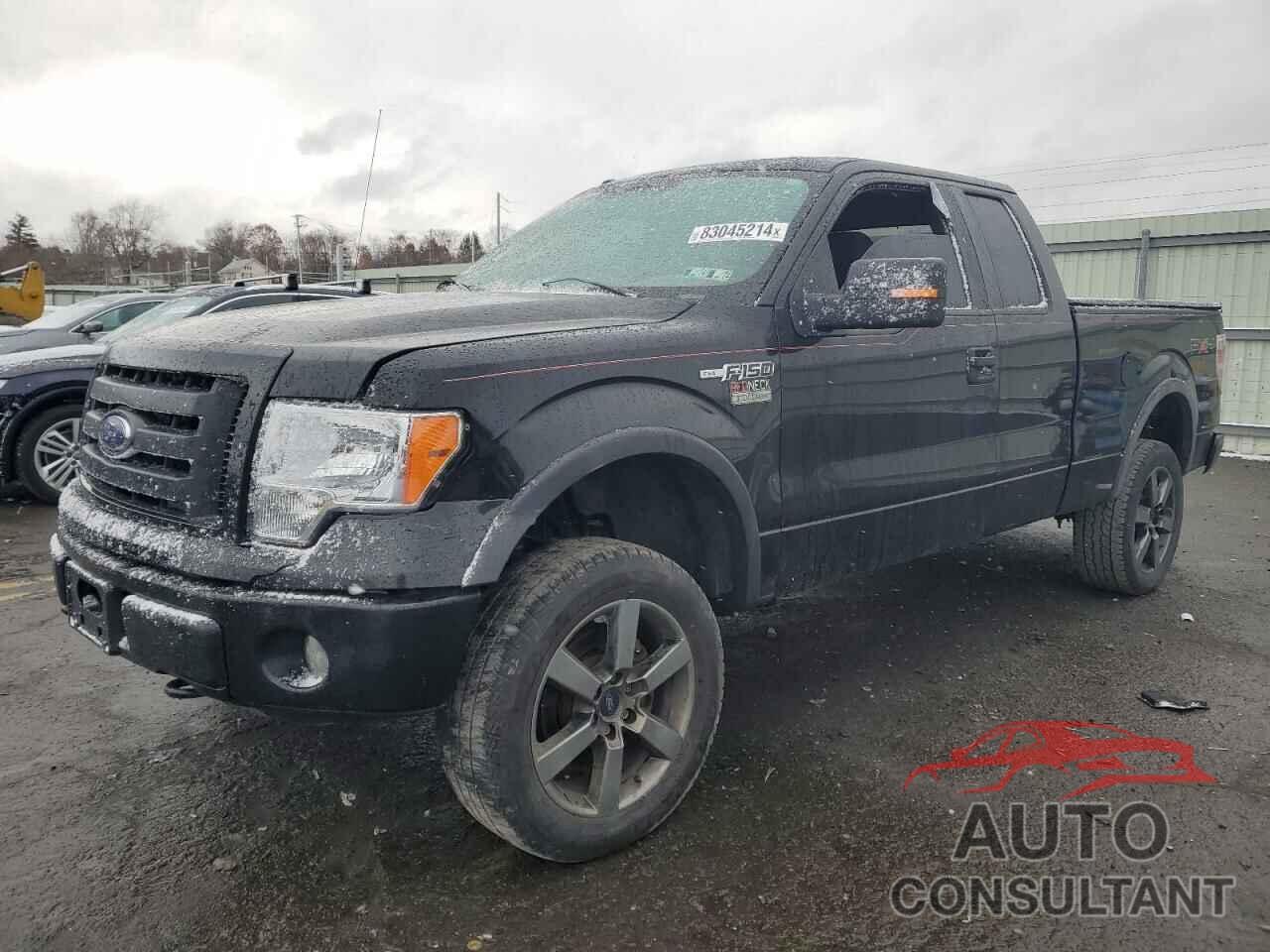 FORD F-150 2010 - 1FTFX1EVXAFA11957