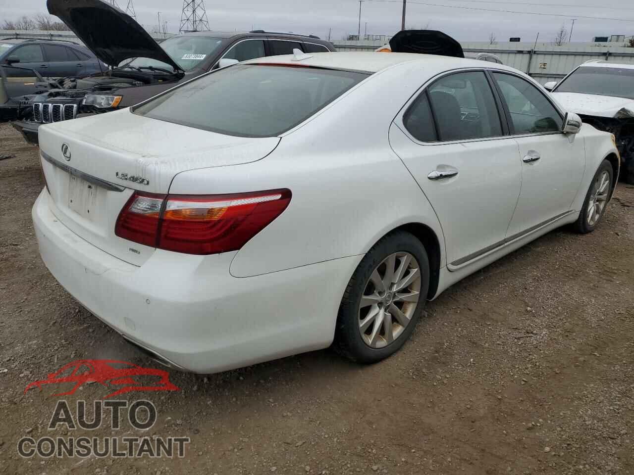 LEXUS LS460 2011 - JTHCL5EF2B5010631
