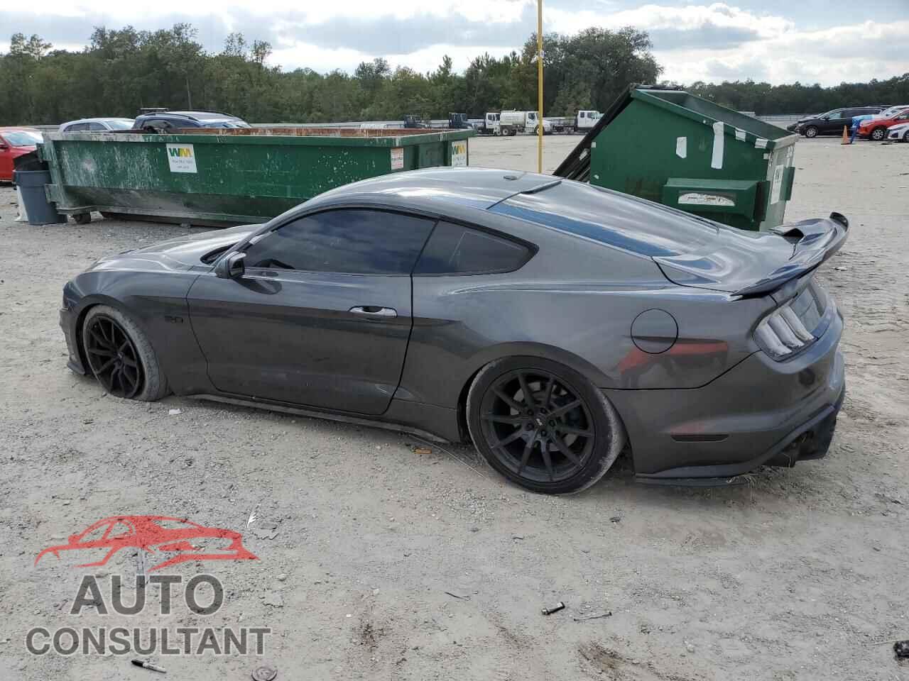 FORD MUSTANG 2019 - 1FA6P8CF8K5101836