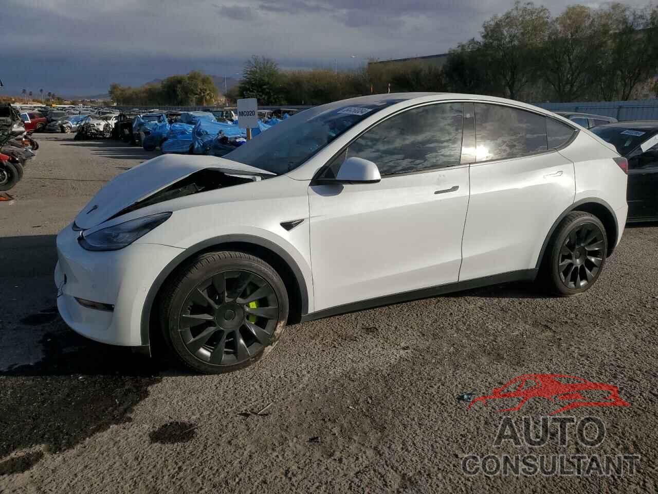TESLA MODEL Y 2021 - 5YJYGDEE4MF081148