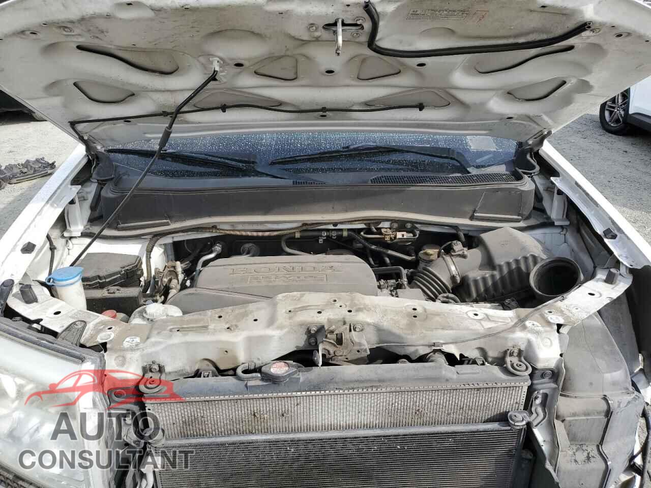 HONDA PILOT 2013 - 5FNYF3H2XDB009272