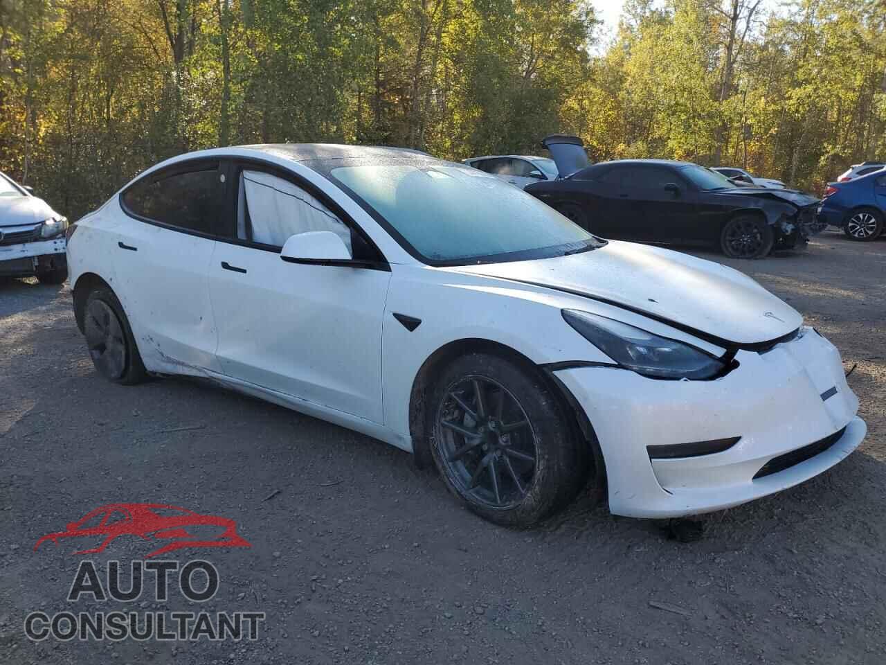 TESLA MODEL 3 2023 - 5YJ3E1EA5PF480392