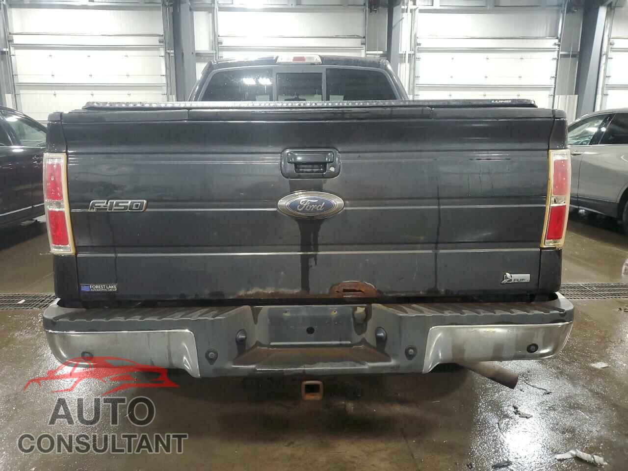 FORD F-150 2010 - 1FTFW1EV4AFA79545