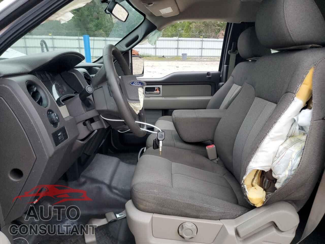 FORD F-150 2010 - 1FTEX1CW8AFD74376