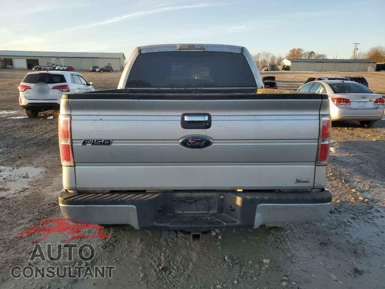 FORD F-150 2010 - 1FTFW1EV3AFD38736