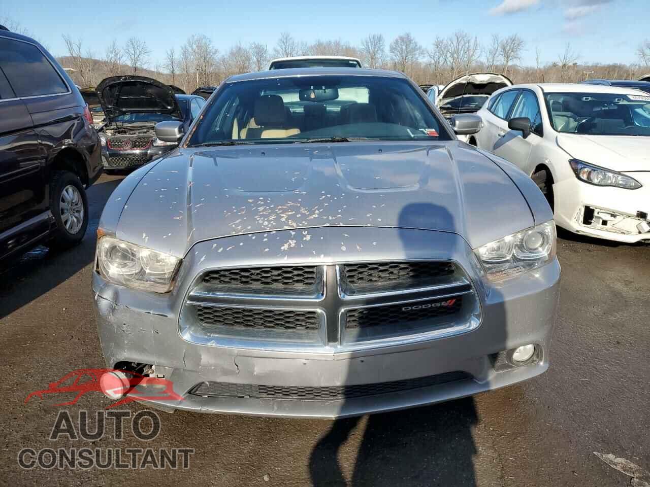 DODGE CHARGER 2013 - 2C3CDXDTXDH594939