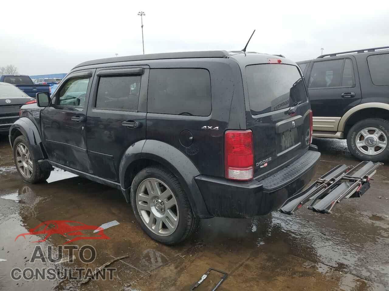 DODGE NITRO 2011 - 1D4PU4GK8BW591005