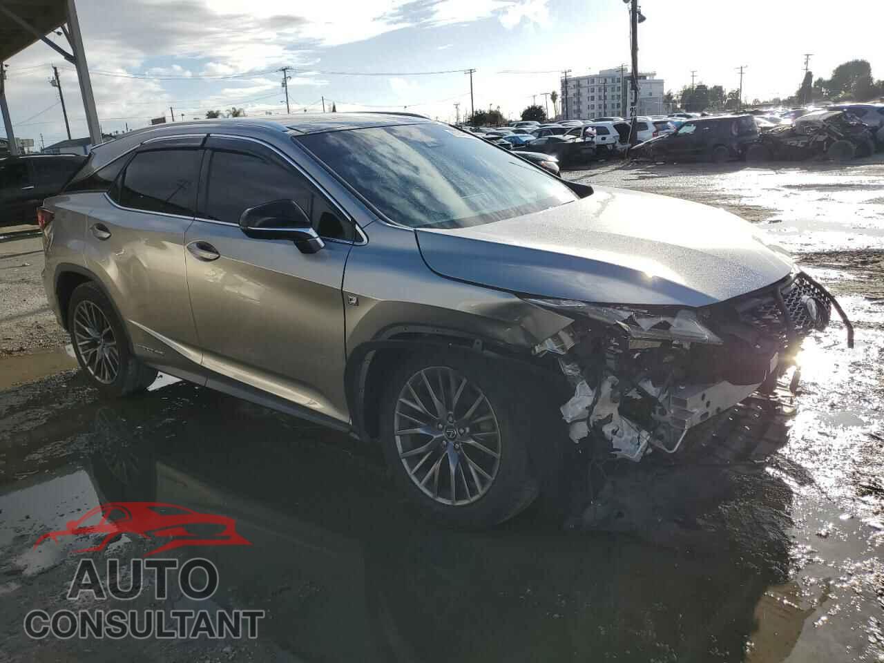 LEXUS RX450 2019 - 2T2BGMCA7KC035574