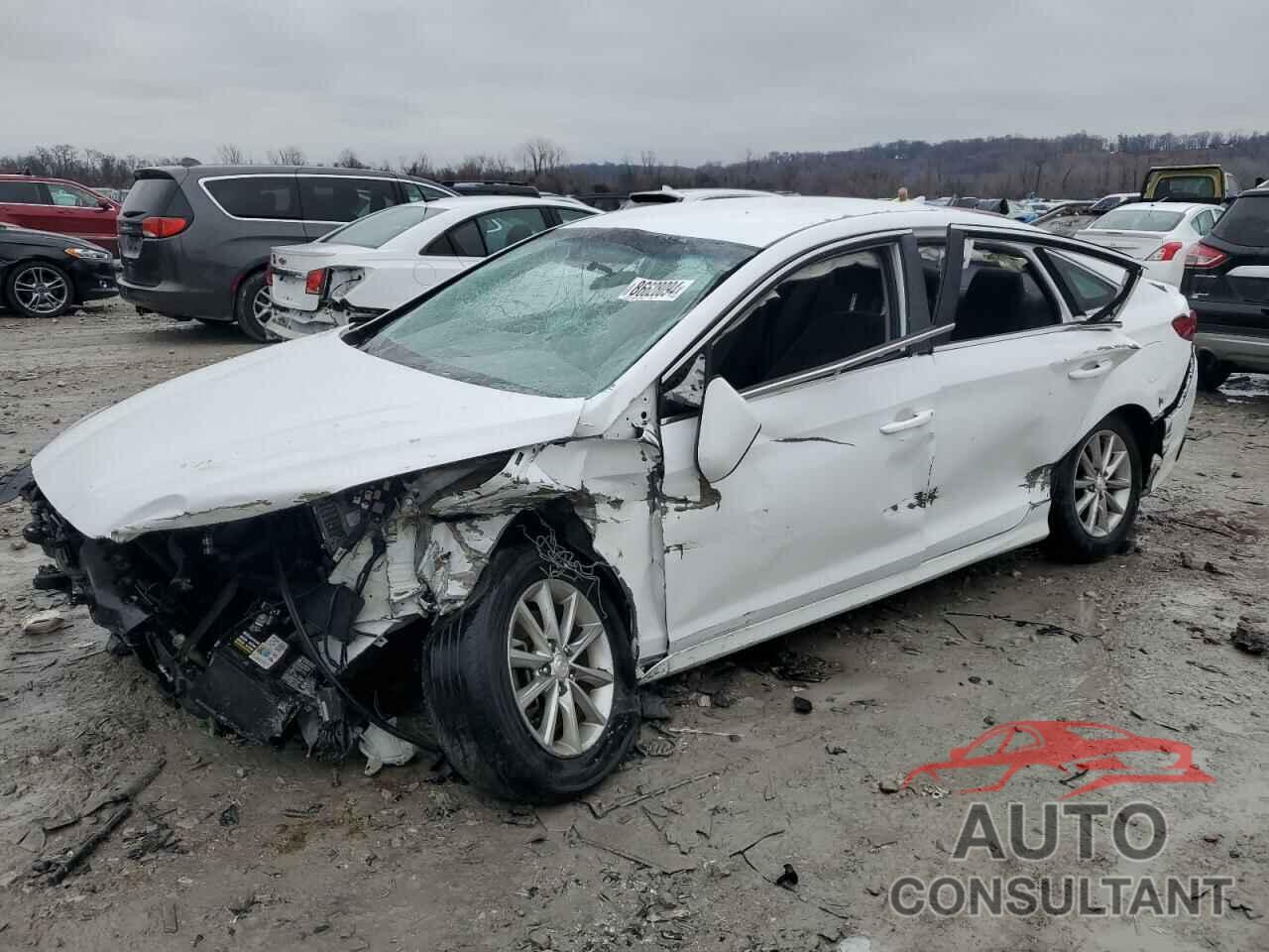 HYUNDAI SONATA 2019 - 5NPE24AF5KH784174