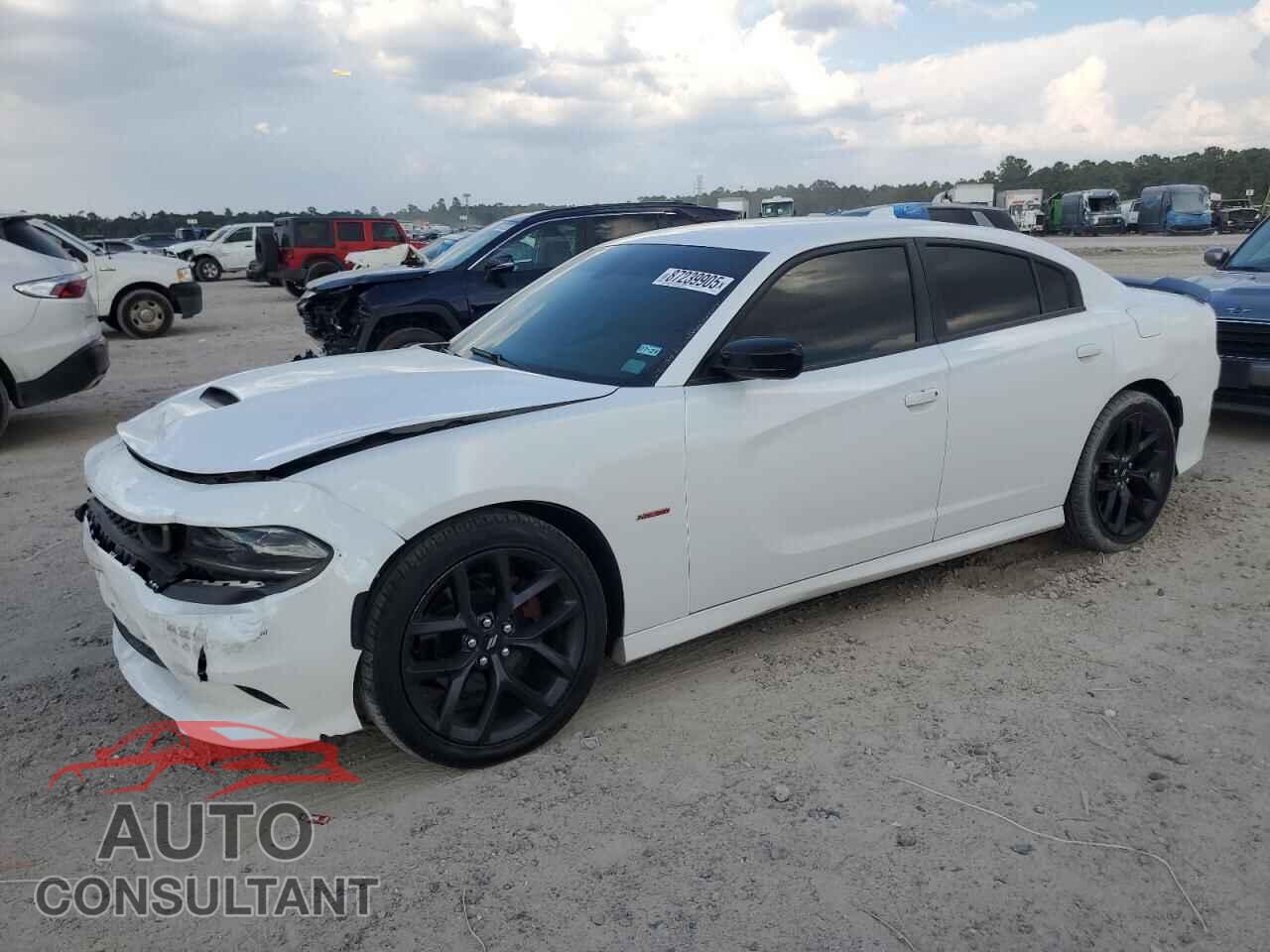 DODGE CHARGER 2019 - 2C3CDXCTXKH718349