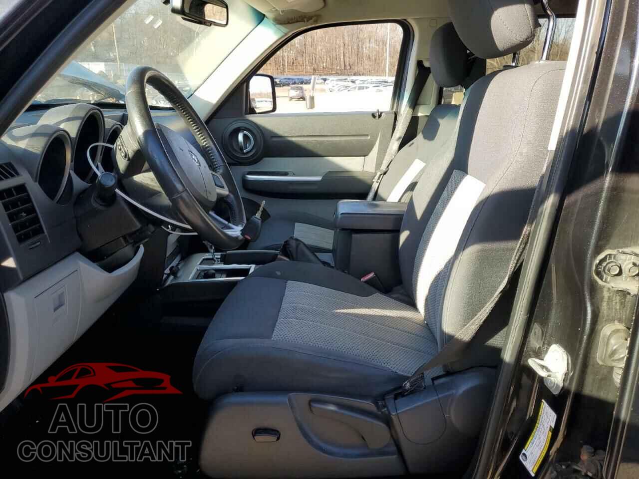 DODGE NITRO 2010 - 1D4PU5GK6AW102394