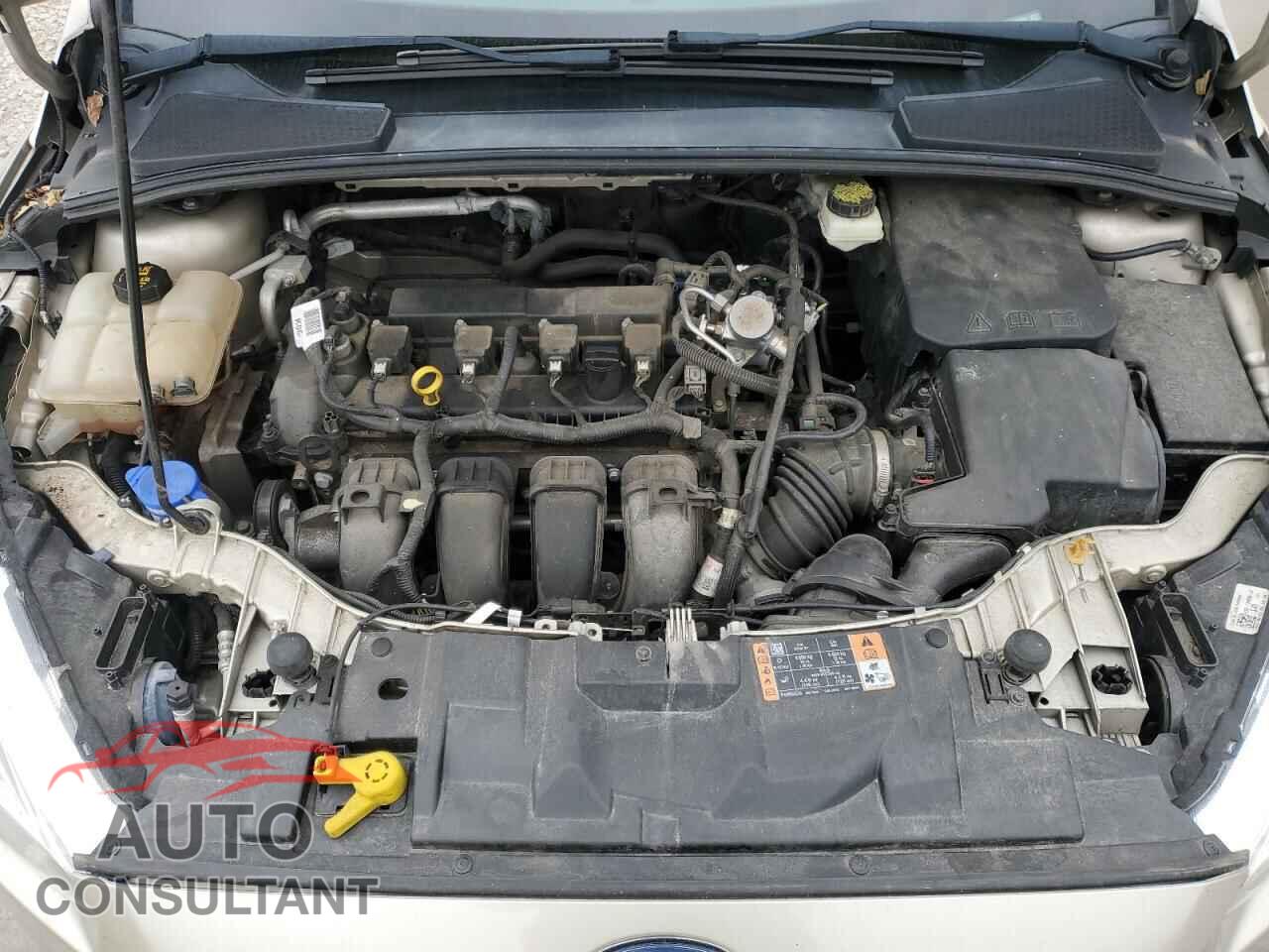 FORD FOCUS 2017 - 1FADP3F21HL235031