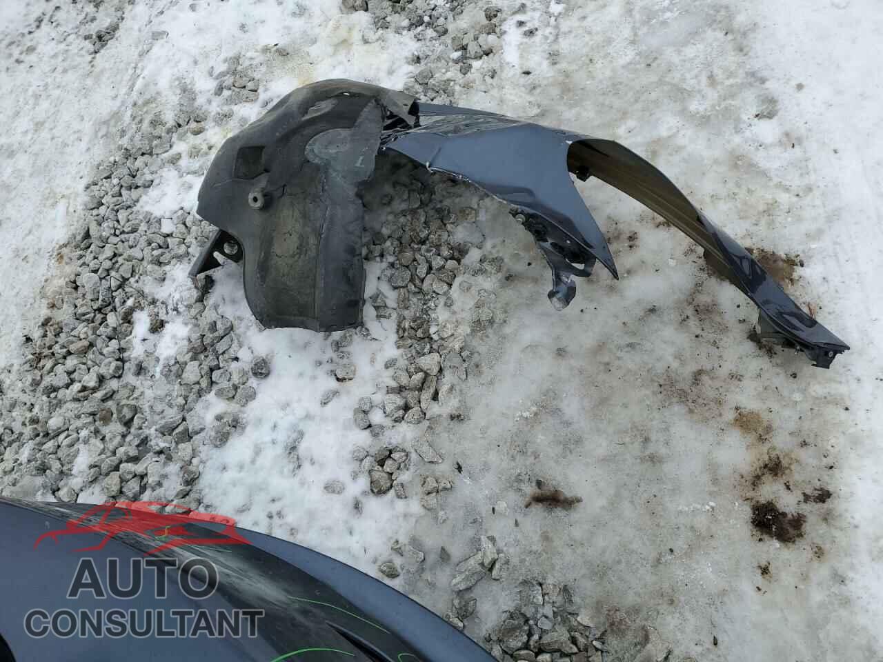 TESLA MODEL 3 2019 - 5YJ3E1EB0KF389368