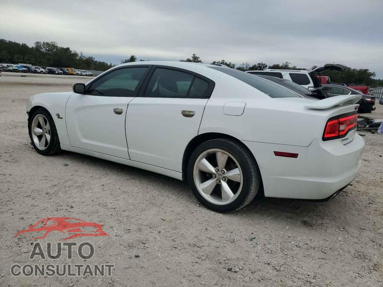 DODGE CHARGER 2014 - 2C3CDXCT1EH123863