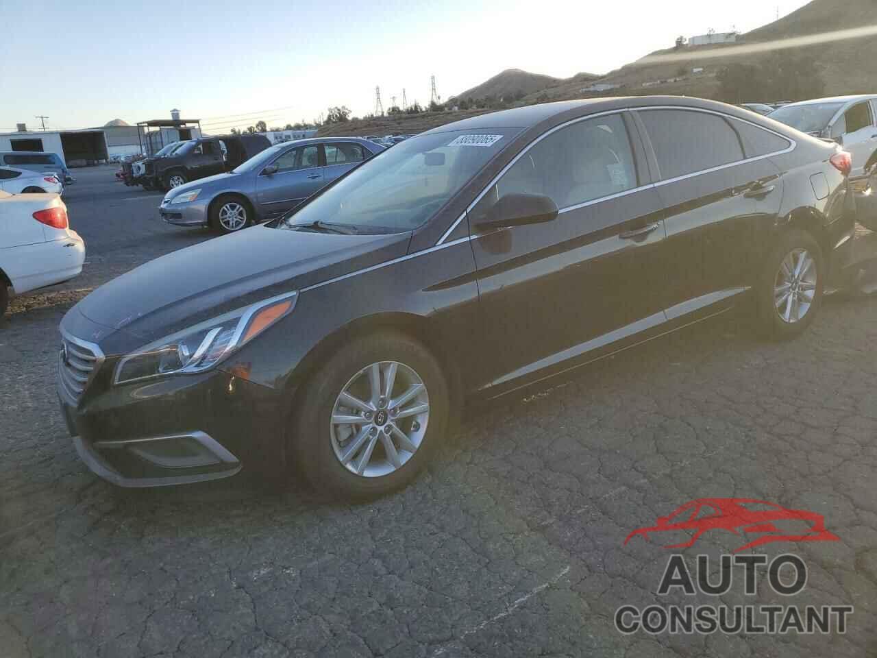 HYUNDAI SONATA 2017 - 5NPE24AFXHH491234